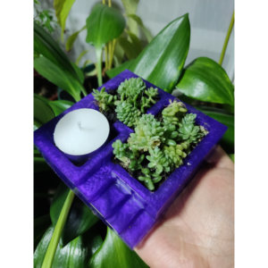 Matera con suculentas y vela aromática